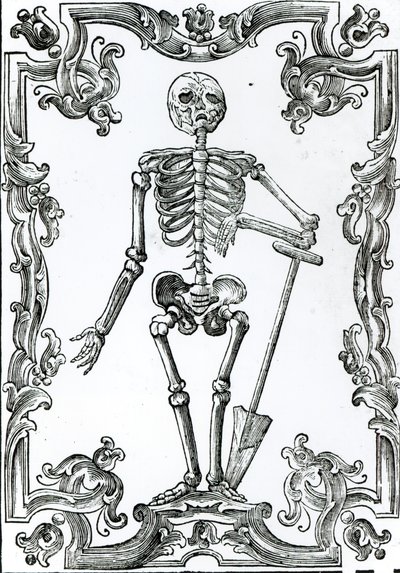 Skeleton with a Shovel by German School